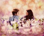 "Edward and Bella" Eclipse VI